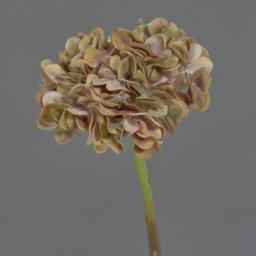Fleur décorative Hortensia MANDISA, brun-rose, 65cm
