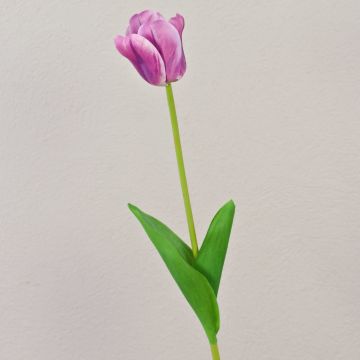 Fleur décorative Tulipe PJASSINA, violet-blanc, 65cm