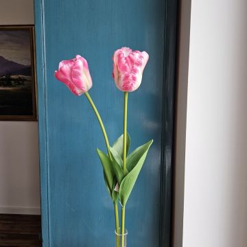 Fleur décorative Tulipe PJASSINA, rose foncé-crème, 65cm