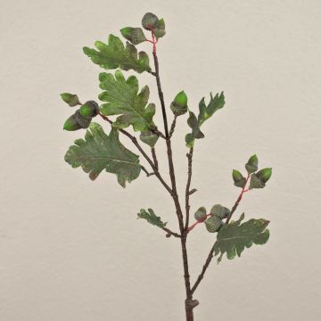 Branche artificielle Chêne LAMINKE avec des glands, vert, 70cm