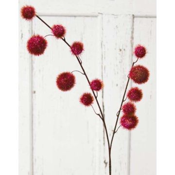 Branche décorative Gomphocarpus ELAENA, fruits, rouge bourgogne, 100cm