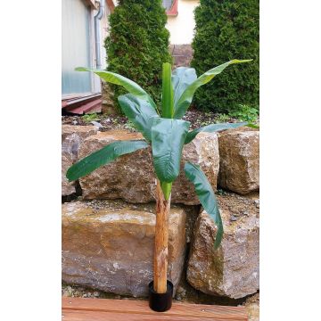 Bananier en plastique SHARA, 150cm