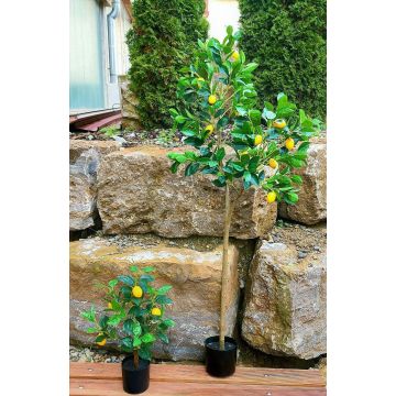 Faux citronnier AINSLEY avec des fruits, tronc artificiel, 150cm