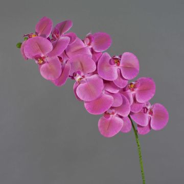 Branche d'orchidée Phalaenopsis artificielle XURI, rose fuchsia, 100cm