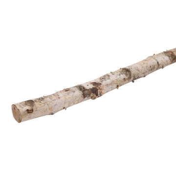 Tronc de bouleau décoratif CALAM, naturel, 150cm, Ø4cm