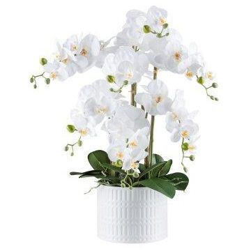 Orchidée Phalaenopsis artificielle TOUNI, pot en céramique, racines, blanc, 60cm