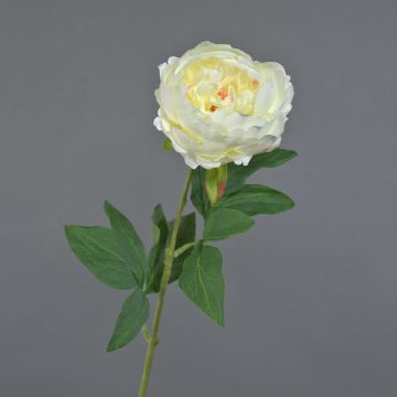 Pivoine décorative TALFY, crème, 65cm