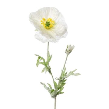 Fleur décorative Coquelicot DRUME, blanc, 60cm