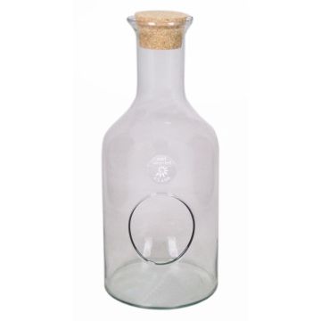 Terrarium bouteille en verre DRACO avec bouchon en liège, transparent, 35cm, Ø15cm