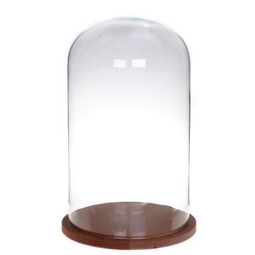 Cloche en verre HELVIN avec socle en bois, transparent, 38cm, Ø22cm