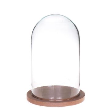 Cloche en verre HELVIN avec socle en bois, transparent, 25cm, Ø14cm