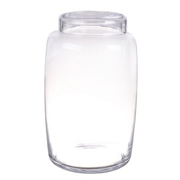 Terrarium / Bocal en verre MARELLA, transparent, 31cm, Ø12cm/Ø19cm