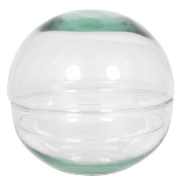 Boule Terrarium BRYSON en verre, transparent, 12cm, Ø12cm