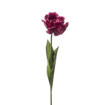 Tulipe perroquet décorative LIOMARA, lilas foncé, 65 cm