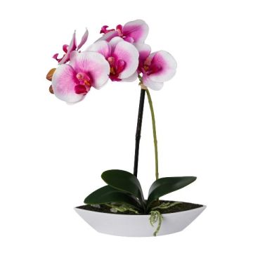 Orchidée Phalaenopsis décorative ORWAN, coupe décorative, racines, blanc-lilas, 30cm
