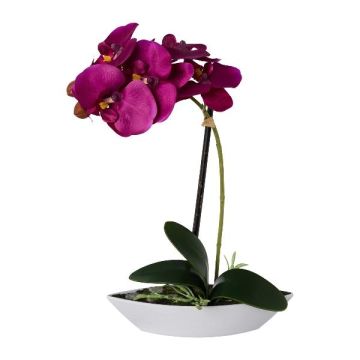 Orchidée Phalaenopsis décorative ORWAN, Coupe décorative, racines, lilas, 30cm