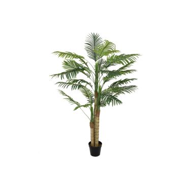 Dypsis lutescens décoratif CATHERINE, 150cm