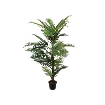 Dypsis lutescens décoratif MELINE, 150cm