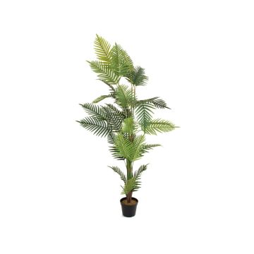 Dypsis lutescens décoratif EMELINE, 180cm