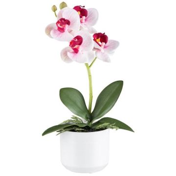 Orchidée Phalaenopsis artificielle WERKAN, pot en céramique, racines, blanc-rose fuchsia, 27cm