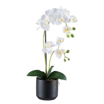 Orchidée Phalaenopsis artificielle MAYAK, pot en céramique, racines, blanc, 50cm