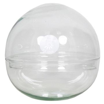 Boule terrarium BRYSON en verre, transparent, 19,5cm, Ø19,5cm