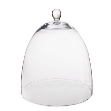 Cloche en verre DIMARA avec bouton, transparent, 31cm, Ø27cm