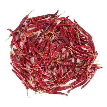 Fruits secs décoratifs Piments allongés RÜDIGER, rouge, 8-12cm, 200g