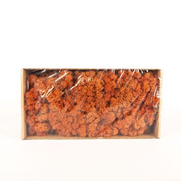 Mousse d'Islande naturelle SVEINBJÖRN, mangue, 500g