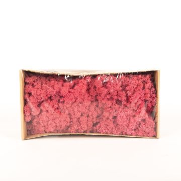Mousse d'Islande naturelle SVEINBJÖRN, rose melon d'eau, 500g Mousse d'Islande naturelle SVEINBJÖRN, rose melon d'eau, 500g