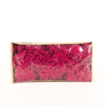 Mousse d'Islande naturelle SVEINBJÖRN, magenta, 500g Mousse d'Islande naturelle SVEINBJÖRN, magenta, 500g