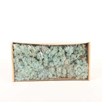 Mousse d'Islande naturelle SVEINBJÖRN, bleu glacier, 500g