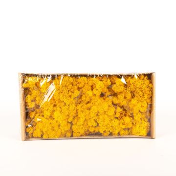 Mousse d'Islande naturelle SVEINBJÖRN, ocre jaune, 500g
