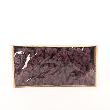 Mousse d'Islande naturelle SVEINBJÖRN, aubergine, 500g Mousse d'Islande naturelle SVEINBJÖRN, aubergine, 500g
