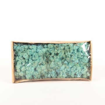 Mousse d'Islande naturelle SVEINBJÖRN, bleu turquoise, 500g