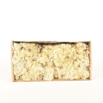 Mousse d'Islande naturelle SVEINBJÖRN, ivoire, 500g Mousse d'Islande naturelle SVEINBJÖRN, ivoire, 500g
