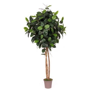 Caoutchouc décoratif LENELOTTE, troncs naturels, vert, 300cm - Made in Italy