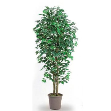 Ficus Benjamina artificiel LEONORET, troncs en bois véritable, vert-blanc, 225cm - Made in Italy
