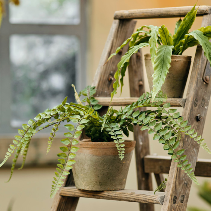 Plantes artificielles