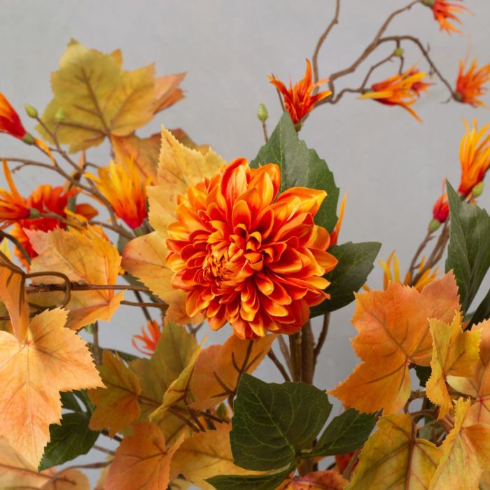 Feuilles d'automne