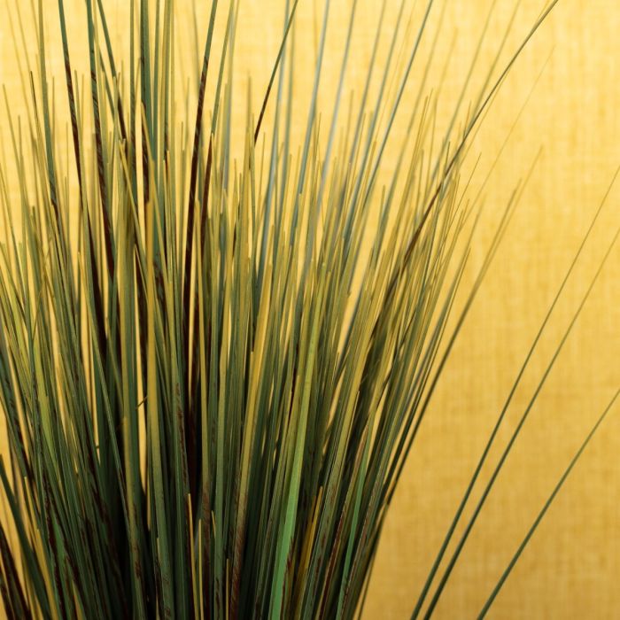 Herbes d'automne