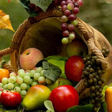 Fruits / Légumes