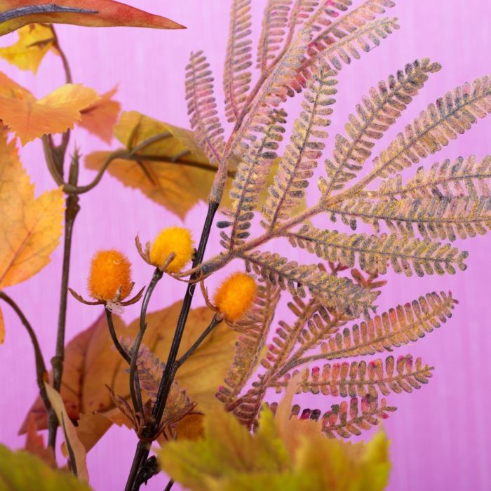 Branches d'automne