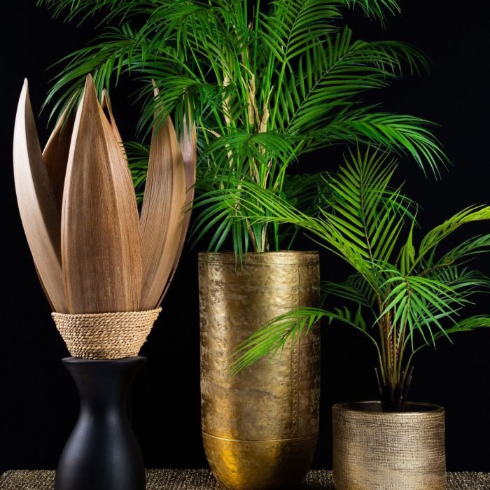 Beaut&eacute; paradisiaque