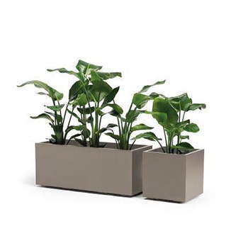 Cache-pots avec réservoir d'eau