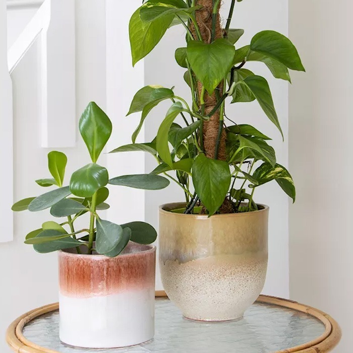 Cache-pots