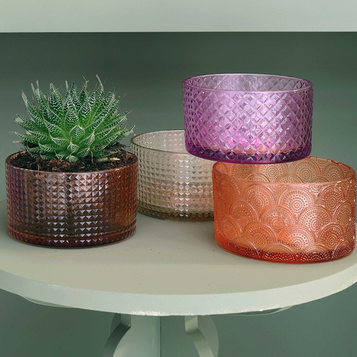 Coupes, Bols, Assiettes