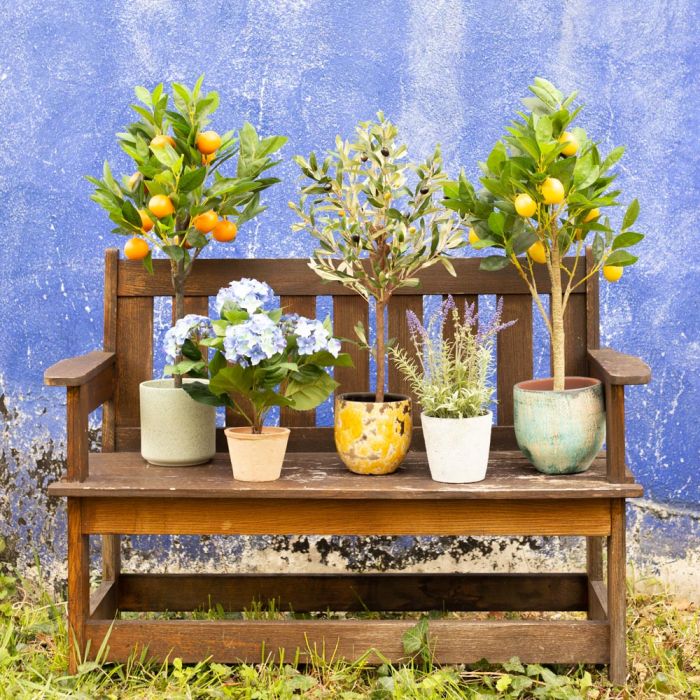 Sentiment m&eacute;diterran&eacute;en