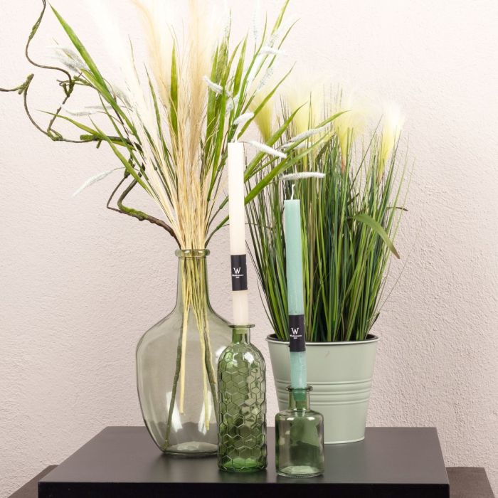 &Eacute;t&eacute; vert